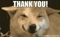 Thank You Doge Meme