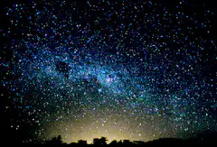 Milky Way over silhouetted trees