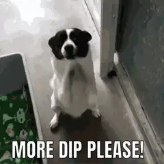 Dog begging for more dip
