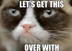 Grumpy Cat Let's Get This Over With
