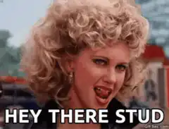 Hey There Stud Meme