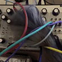 Fuzzy microphone with patch cables
