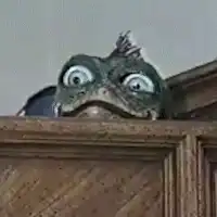 Shocked frog peeking over cabinet