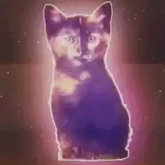 Cosmic cat silhouette