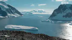 Penguins sliding on ice in Antarctica