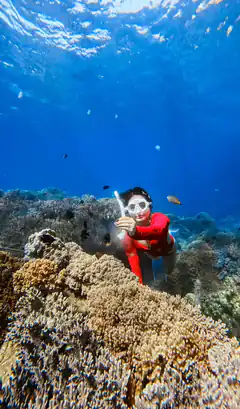 Snorkeler in red wetsuit underwater