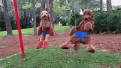 Two stuffed dogs swinging in blue underwear