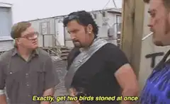 Exactly get two birds stoned at once