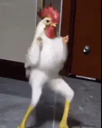 Dancing chicken
