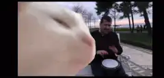 Cat watching man play drum