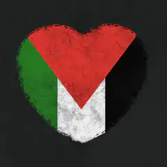 Palestine flag heart