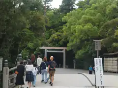Visitors walking to a torii gate in a forest