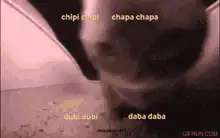 chipi chipi chapa chapa cat