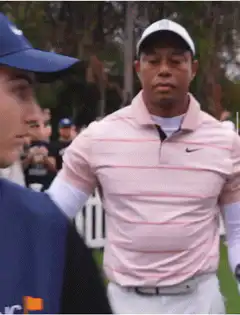 Tiger Woods Big Dog