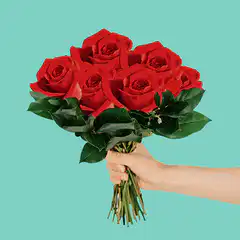 Hand holding red roses