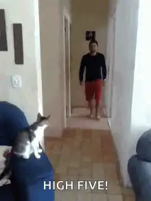 Cat high fives man in hallway