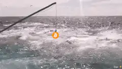 Bitcoin fishing in the ocean