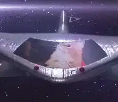 Doge in a Star Wars X-Wing