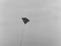 Black kite flying in the sky