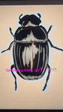 Static beetle drawing with watermark