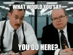 What Would You Say You Do Here