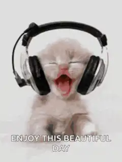 Kitten yawning with headphones