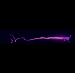 purple camel laser beam