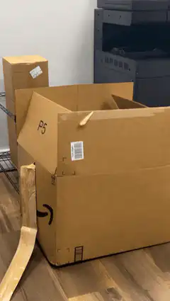 woman pops out of amazon box
