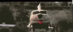 Dog car driving with tongue out