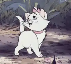 Marie the cat dancing