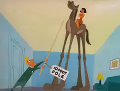 10 foot pole camel