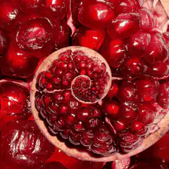 Infinite pomegranate fractal zoom