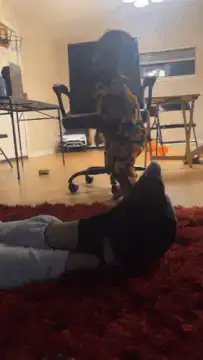 Toddler walks away from foot