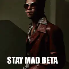 Brad Pitt Stay Mad Beta