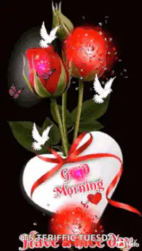 Good Morning roses with doves
