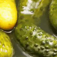 Singing Pickle Face