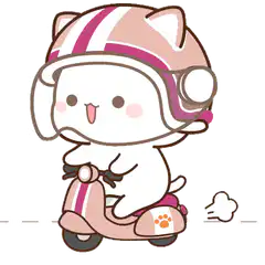 cute cat riding scooter