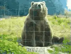Bear waving hello behind fence