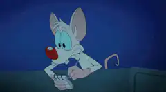 Pink holding a calculator