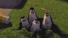 Mission Accomplished Penguins