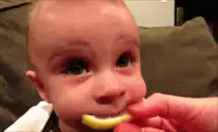Baby reacts to sour lemon