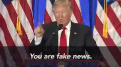 Donald Trump You Are Fake News