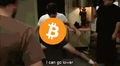 I can go lower Bitcoin meme