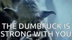 Yoda The Dumbfuck Is Strong With You