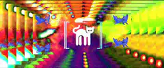 Psychedelic cat tunnel with butterflies