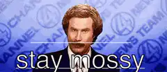 Ron Burgundy stay mossy