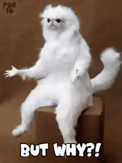 Stop Motion Cat But Why