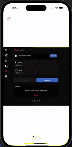 Mobile wallet app navigation and payment screen