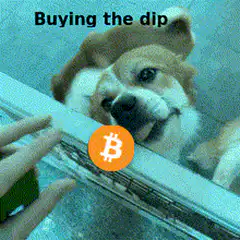 Dog licking Bitcoin through glass