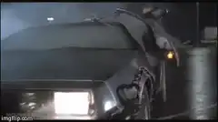 Doc Brown and Einstein in the DeLorean